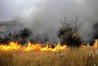 ۵۴ هکتار از اراضی منابع طبیعی کرمانشاه طی سال جاری در آتش سوخت